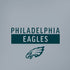 NFL Philadelphia Eagles Silver Performance Series iPhone XS Pro Case
