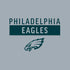 NFL Philadelphia Eagles Silver Performance Series Moto E5 Play Skin