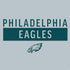 NFL Philadelphia Eagles Silver Performance Series PS4 Pro Bundle Skin