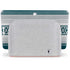 NFL Philadelphia Eagles Trailblazer Google Home Hub Skin