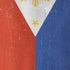 Philippines Flag Distressed iPhone XR Skin