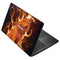 Vincent Hie Phoenix Wolf Asus X502CA 15.6 Skin