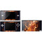 Vincent Hie Phoenix Wolf DS Lite Skin