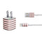 Pink and Black Stripes iPhone Charger (5W USB) Skin
