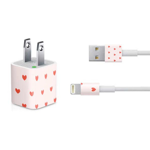 Pink and Red Hearts iPhone Charger (5W USB) Skin