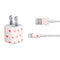 Pink and Red Hearts iPhone Charger (5W USB) Skin