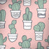 Pink Cactus Notebook 9 Pro 13in (2017) Skin