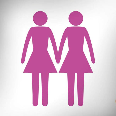 Pink Pride Surface Book 2 15in Skin