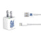 Seton Hall University Pirate Blue iPhone Charger (5W USB) Skin