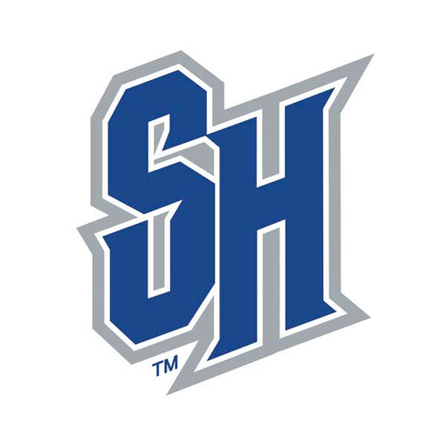 Seton Hall University Pirate Blue PS4 Slim Skin