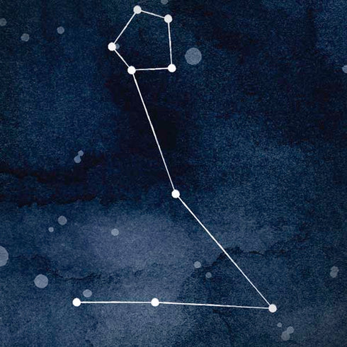 Pisces Constellation iPhone X Skin