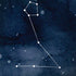 Pisces Constellation iPhone X Skin