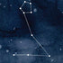 Pisces Constellation iPhone XR Skin