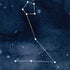 Pisces Constellation iPhone XS Skin