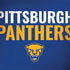 University of Pittsburgh Panthers Notebook 9 Pro 13in (2017) Skin