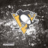 NHL Pittsburgh Penguins Frozen PS4 Slim Skin