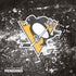 NHL Pittsburgh Penguins Frozen PS4 Slim Bundle Skin