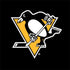 NHL Pittsburgh Penguins Solid Background Notebook 9 Pro 13in (2017) Skin