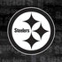 NFL Pittsburgh Steelers Black & White PS4 Console and Controller Bundle Skin