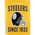 NFL Pittsburgh Steelers Helmet PS5 Bundle Skin