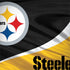 NFL Pittsburgh Steelers HP Spectre Skin