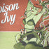 DC Comics Bombshells Poison Ivy Notebook 9 Pro 13in (2017) Skin