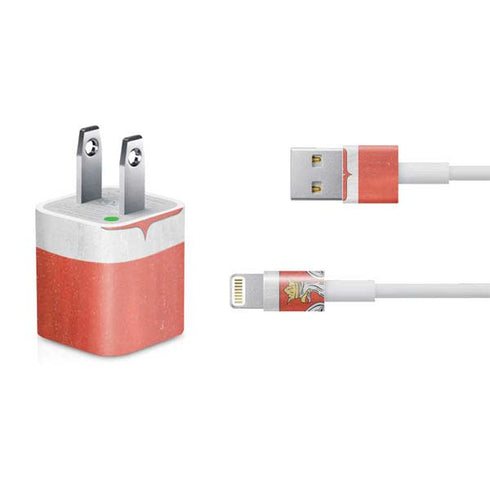Poland Flag Distressed iPhone Charger (5W USB) Skin