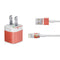 Poland Flag Distressed iPhone Charger (5W USB) Skin