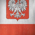 Poland Flag Distressed iPhone X Pro Case