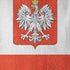 Poland Flag Distressed iPhone XR Pro Case