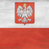 Poland Flag Distressed PS4 Console and Controller Bundle Skin
