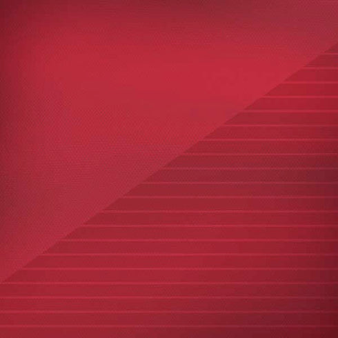 Poland Soccer Flag iPhone X Pro Case