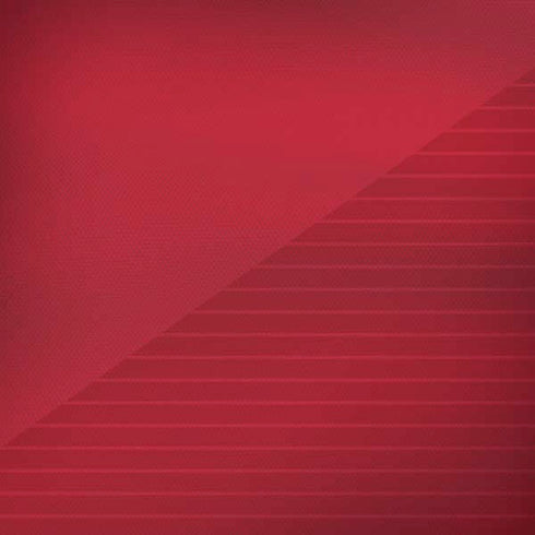 Poland Soccer Flag iPhone X Skin