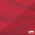 Poland Soccer Flag PS4 Pro/Slim Controller Skin