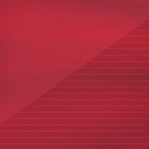 Poland Soccer Flag iPhone XR Skin
