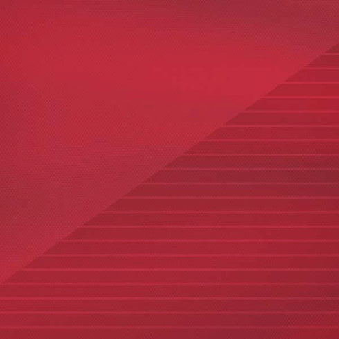Poland Soccer Flag iPhone XS Max Skin
