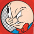 Looney Tunes Porky Pig Full iPhone XR Skin