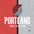 NBA Portland Trail Blazers Canvas Nintendo 2DS XL (2017) Skin