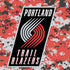 NBA Portland Trail Blazers Digi Camo PS4 Pro/Slim Controller Skin