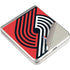 NBA Portland Trail Blazers Large Logo Galaxy Z Flip3 5G Skin