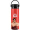 Disney Wreck-it Ralph Portrait Hydro Flask 20oz Wide Mouth Skin