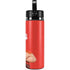 Disney Wreck-it Ralph Portrait Hydro Flask 20oz Wide Mouth Skin