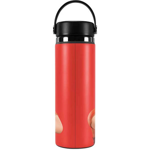 Disney Wreck-it Ralph Portrait Hydro Flask 20oz Wide Mouth Skin