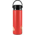 Disney Wreck-it Ralph Portrait Hydro Flask 20oz Wide Mouth Skin