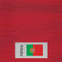Portugal Soccer Flag Nintendo 2DS XL (2017) Skin