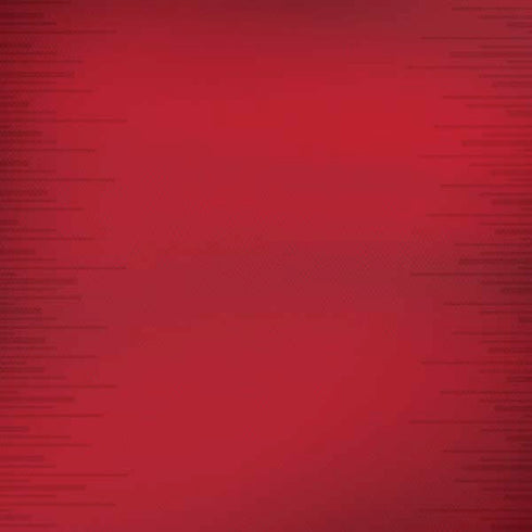 Portugal Soccer Flag iPhone X Skin