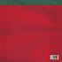 Portugal Soccer Flag PS4 Slim Bundle Skin