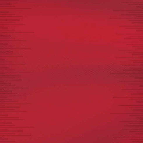 Portugal Soccer Flag iPhone XS Max Skin