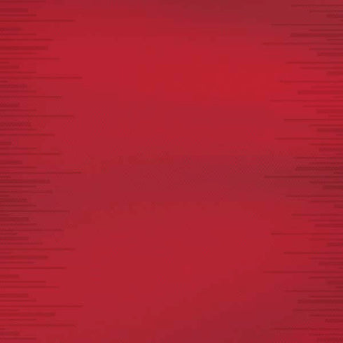 Portugal Soccer Flag iPhone XS Skin