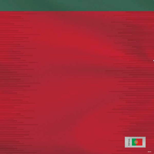 Portugal Soccer Flag PS4 Controller Skin